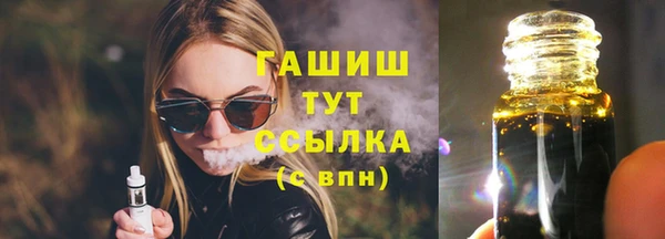 молекула духа Снежногорск