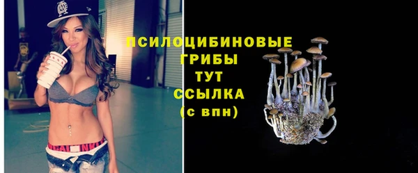 эйфоретик Армянск