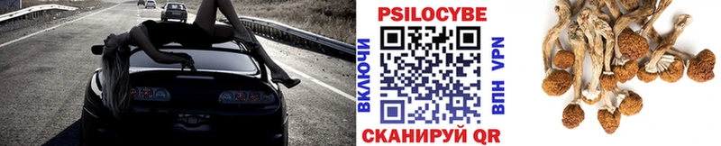 Галлюциногенные грибы Psilocybe  Саки 